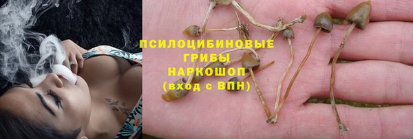 Альфа ПВП Балабаново